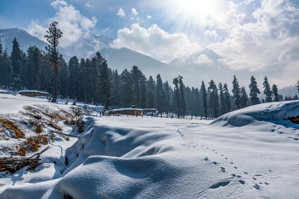 Kashmir - 5