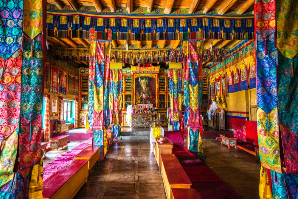 Ladakh 5